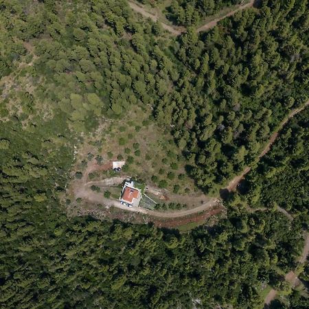 Dream House Capturing The Magic Of Nature Vlachia Extérieur photo