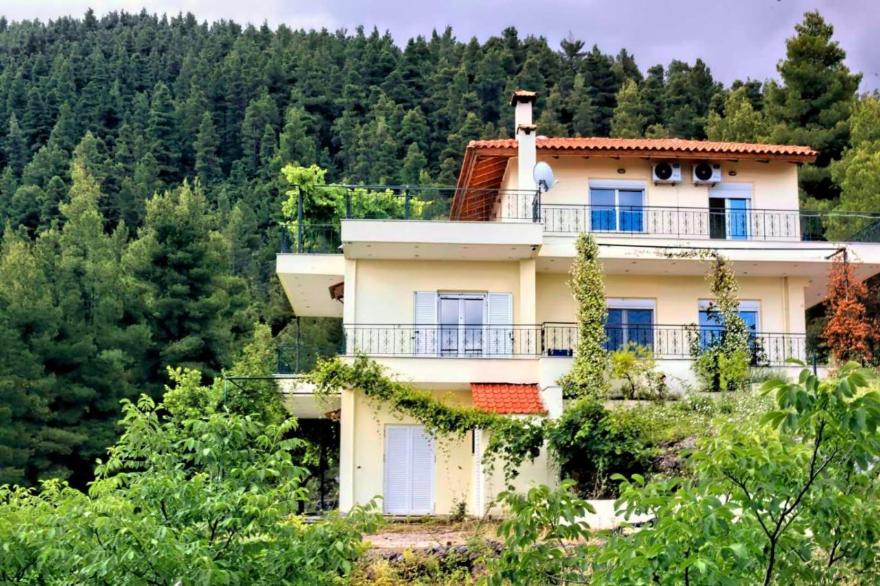 Dream House Capturing The Magic Of Nature Vlachia Extérieur photo