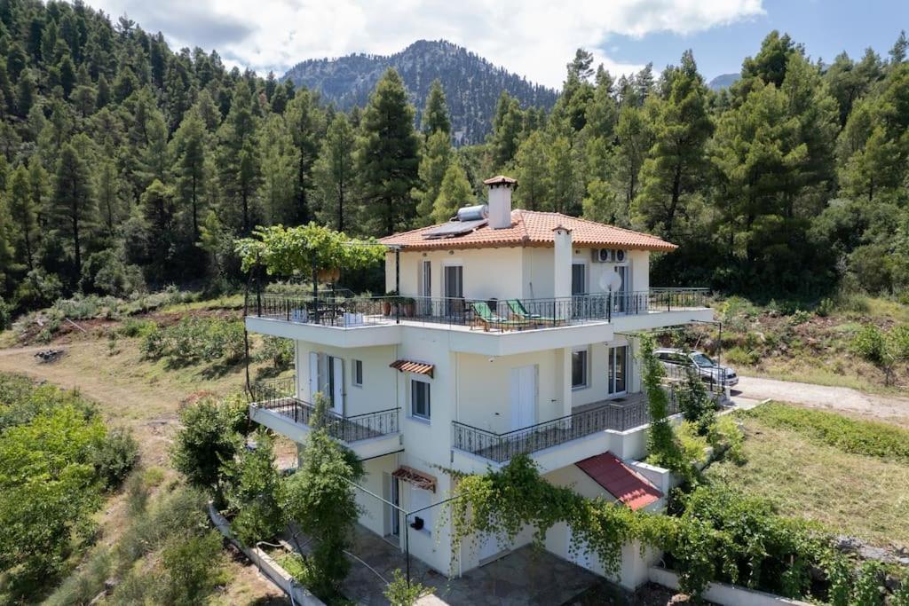 Dream House Capturing The Magic Of Nature Vlachia Extérieur photo