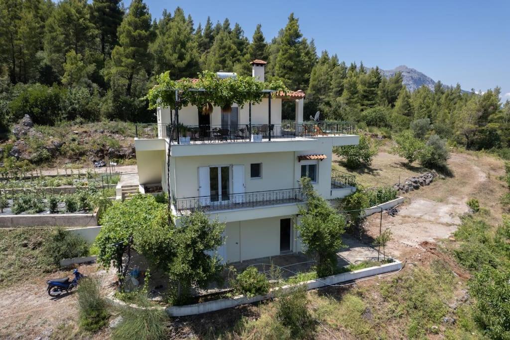 Dream House Capturing The Magic Of Nature Vlachia Extérieur photo
