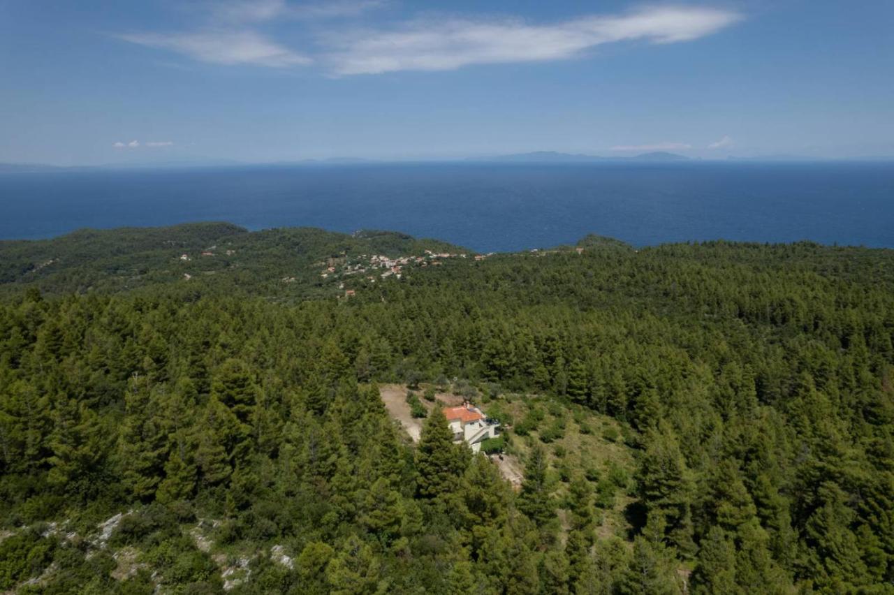 Dream House Capturing The Magic Of Nature Vlachia Extérieur photo