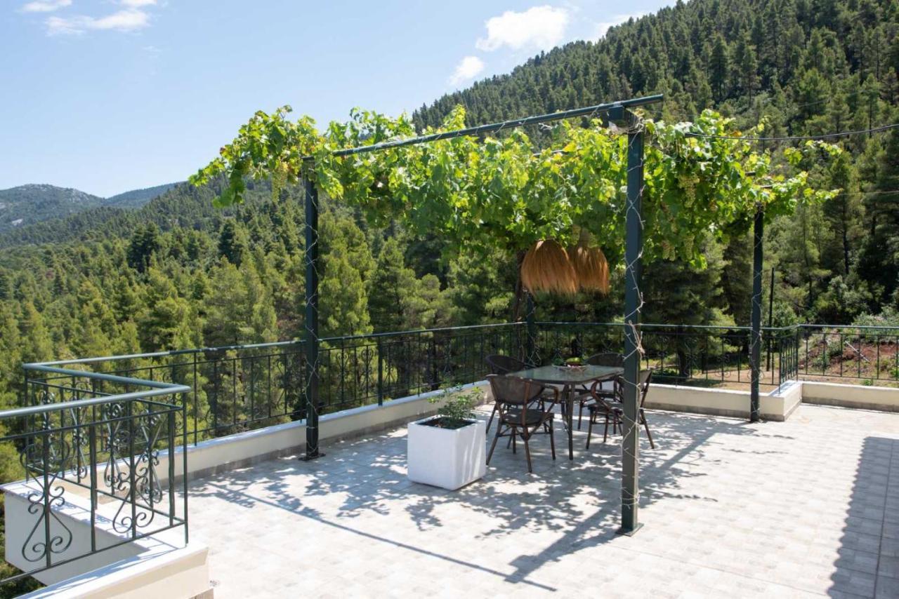 Dream House Capturing The Magic Of Nature Vlachia Extérieur photo