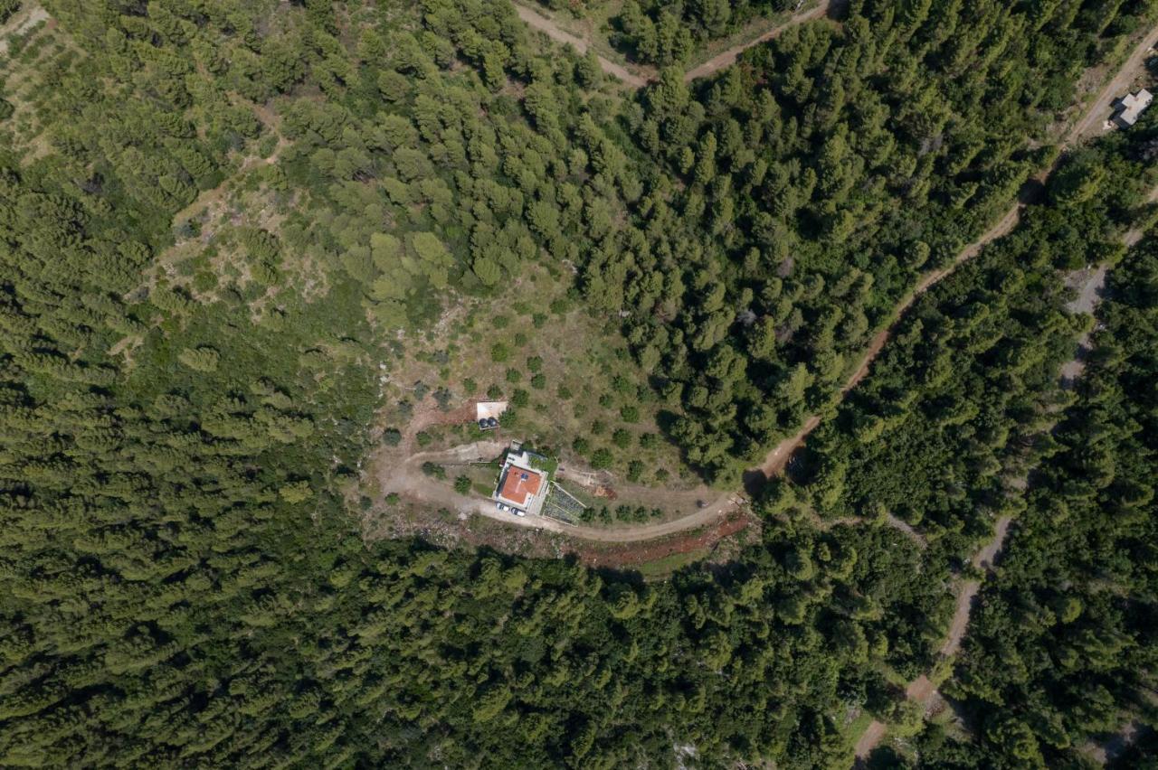 Dream House Capturing The Magic Of Nature Vlachia Extérieur photo