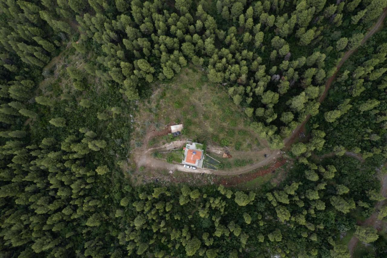 Dream House Capturing The Magic Of Nature Vlachia Extérieur photo